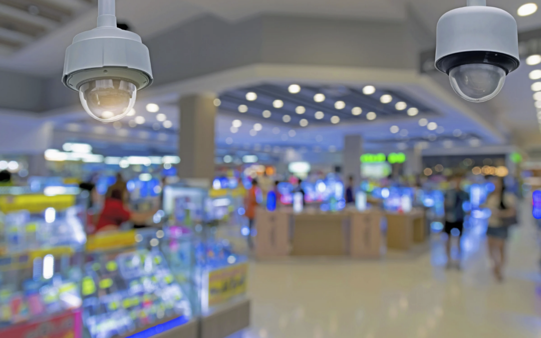 Choosing the Right Business Security Camera System